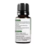 Rosemary-1.webp