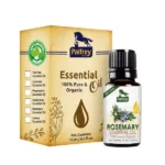 Rosemary-1.webp