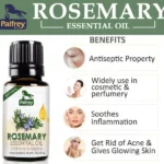 Rosemary-1.webp