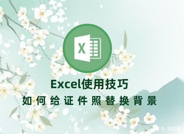 Excel使用技巧：證件照如何換背景- IT145.com