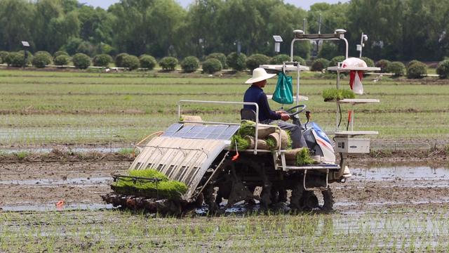 6月8日蘇寧上線產地直賣節 主打超級價效比