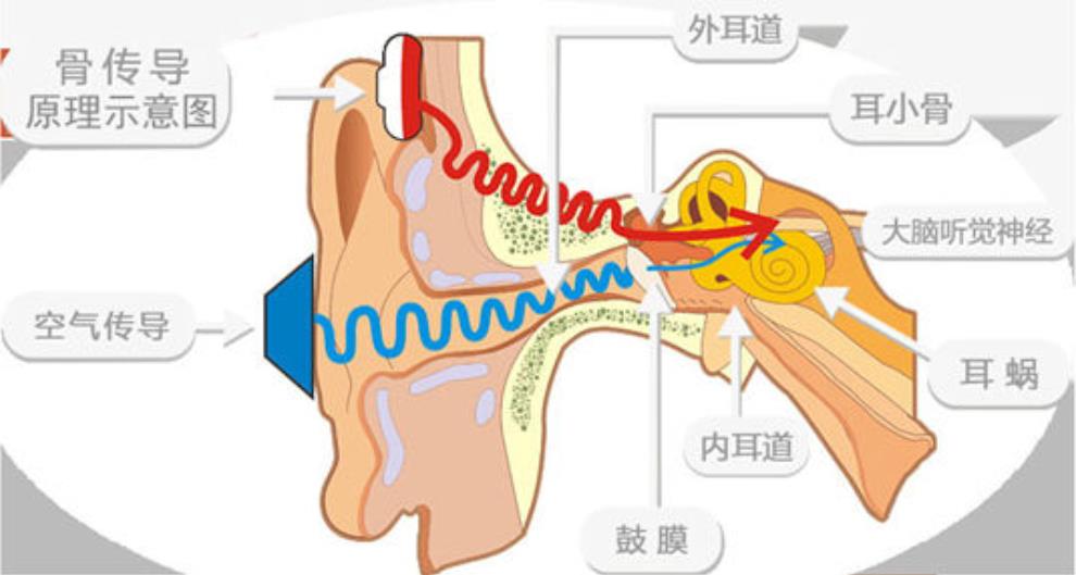 立足於骨傳導等聲學技術的底層研發，韶音專為運動耳機而生