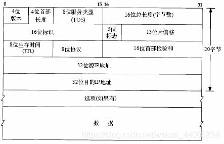 图片来自网络