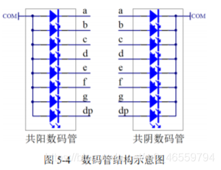 数码管内部结构