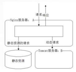 在這裡插入圖片描述