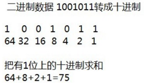 二進位制資料轉成十進位制資料
