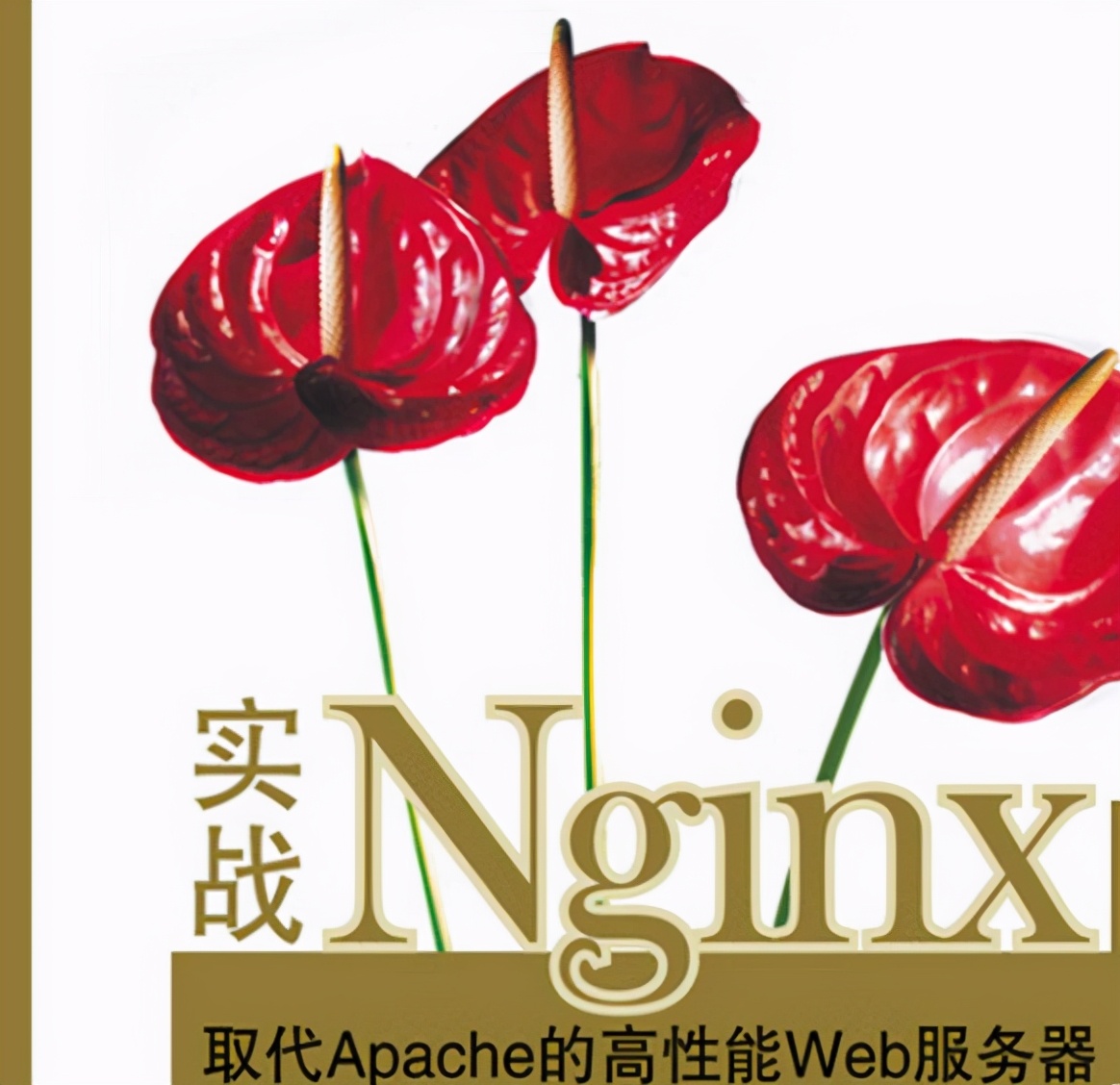 GitHub上優質Netty+Nginx+Redis文件整理