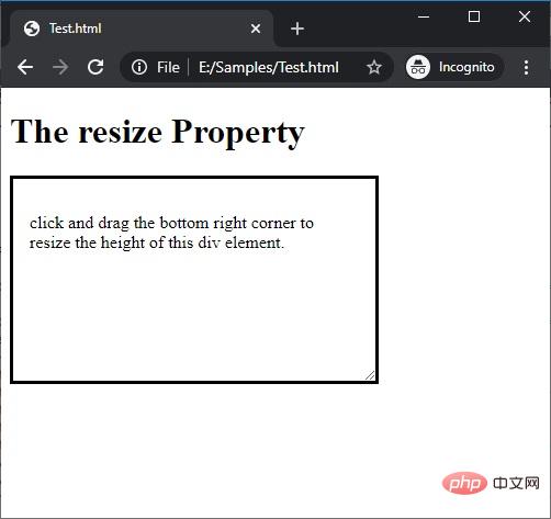 CSS | resize Property | Example 3