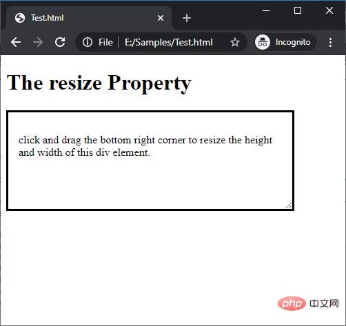 CSS | resize Property | Example 2