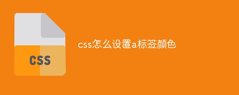 css怎麼設定a標籤顏色- tw511教學網