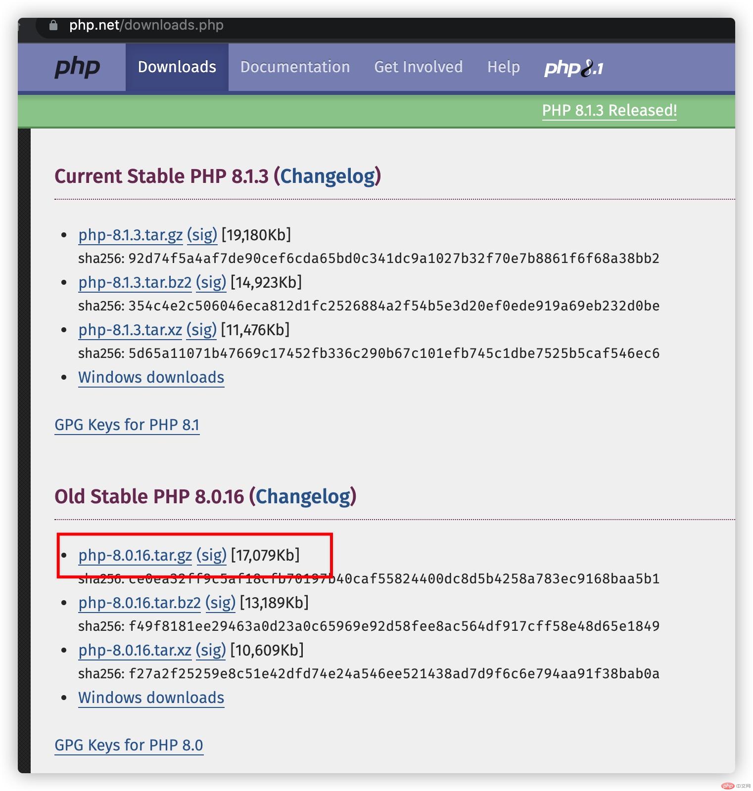 下載PHP 8.0.16 版本