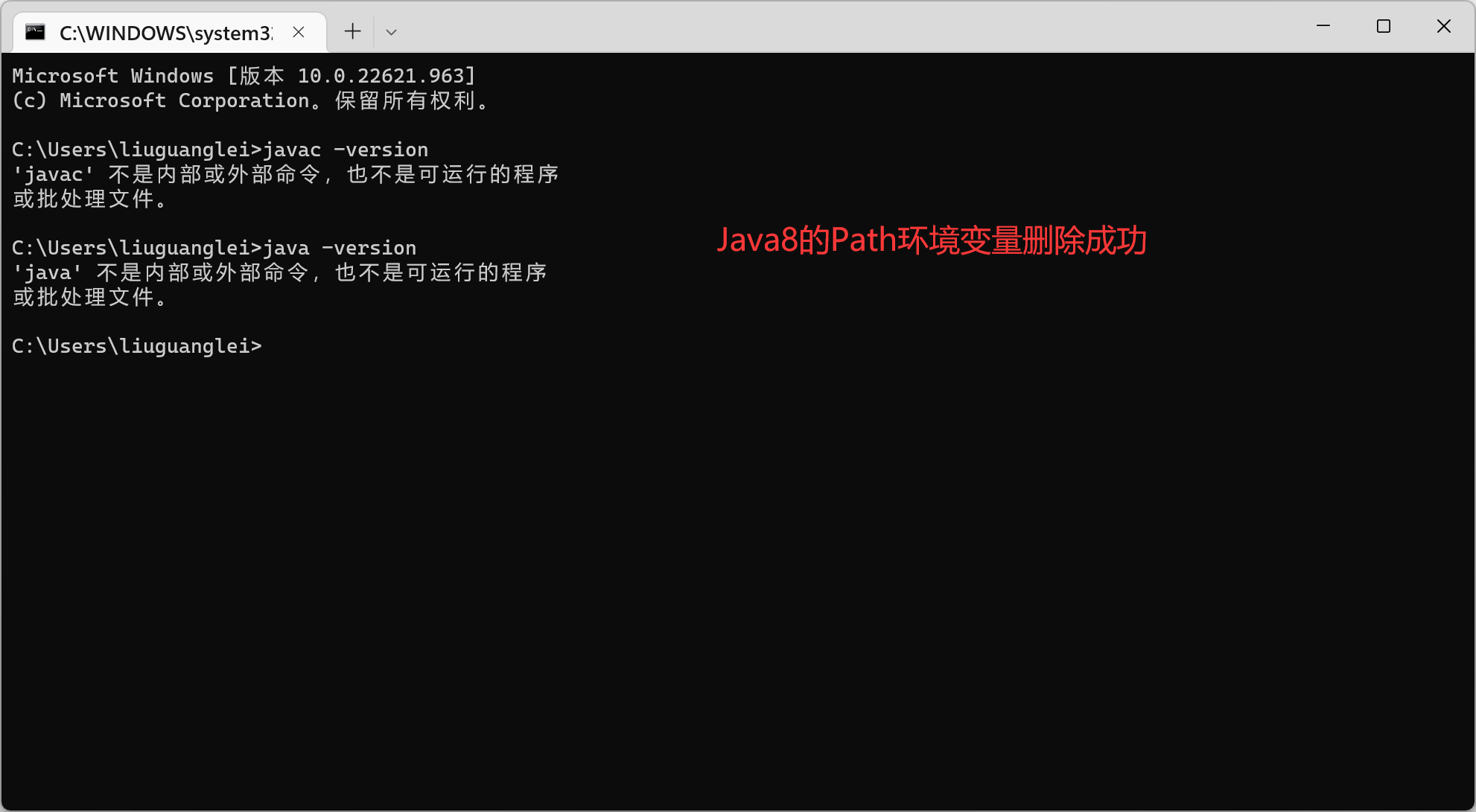 Java8的Path環境變數刪除成功