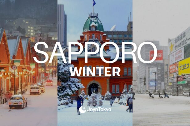 sapporo winter