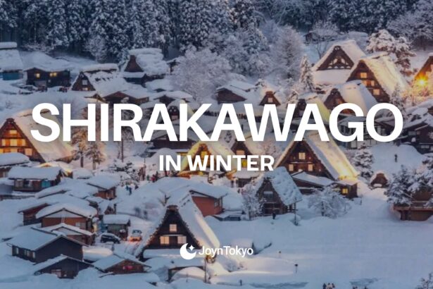 shirakawa winter