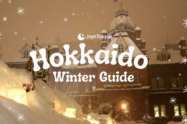 hokkaido winter