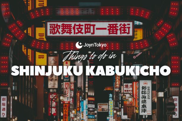kabukicho in shinjuku