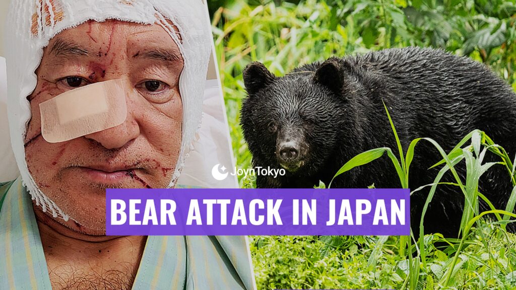 bear attack in japan