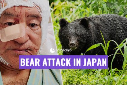 bear attack in japan