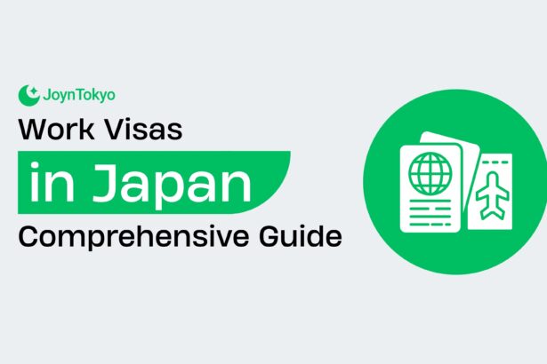 yanki meaning in japanese - work visa in japan 1