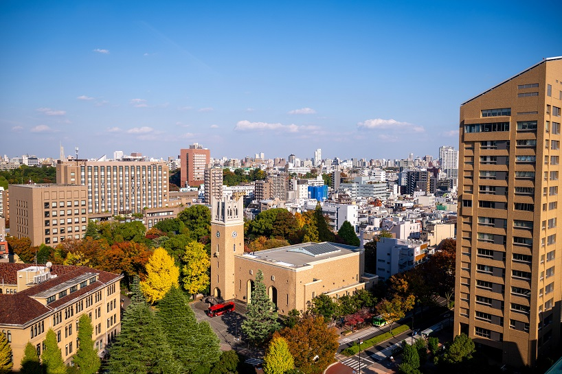 assistant language teacher - image 20