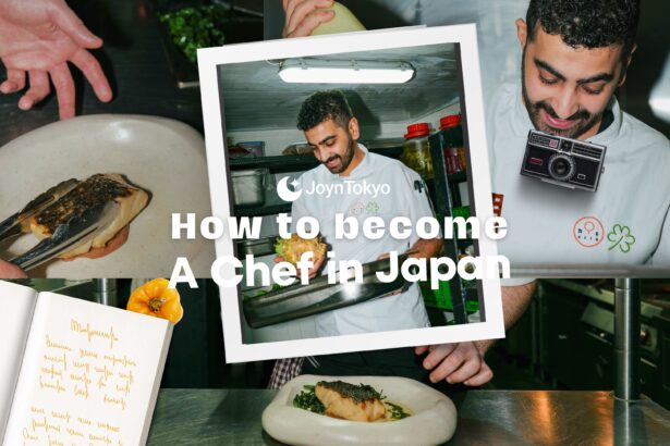 日本模特 - 在日本成为厨师