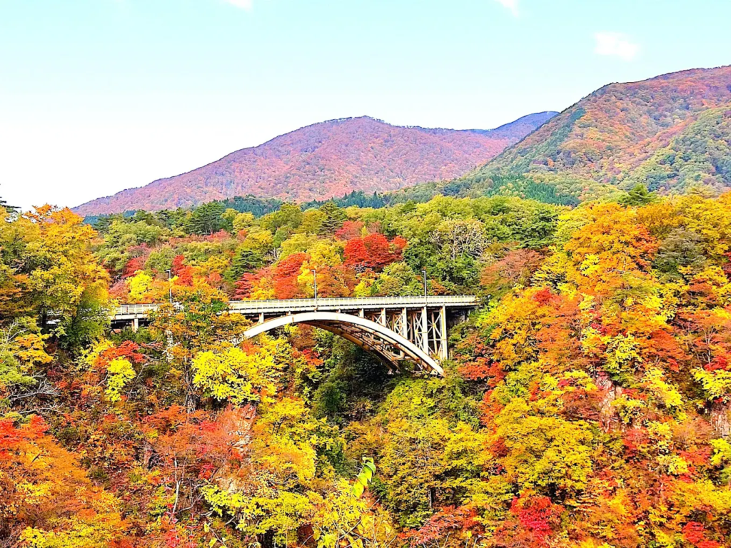 hanami 2026 - image 18