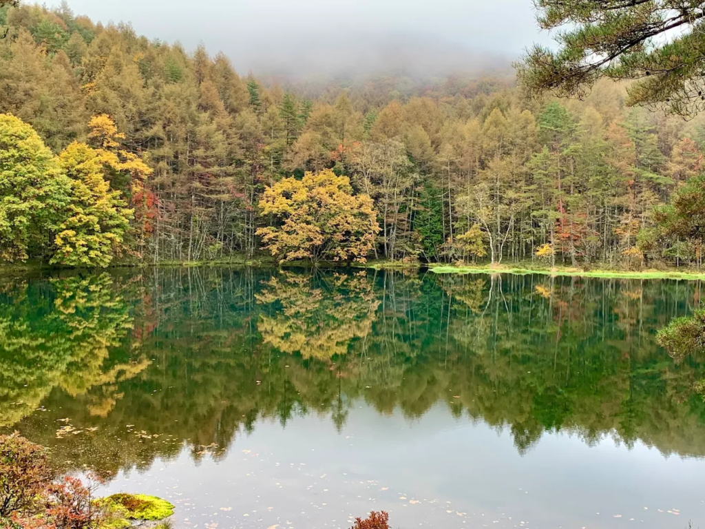 花见 2026 - 图片 20