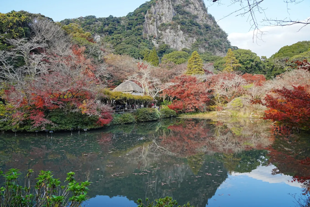 hanami 2026 - image 23