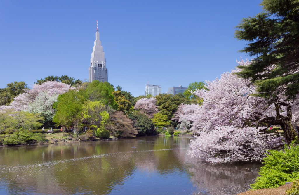 spring in japan 2026 - image 1 1