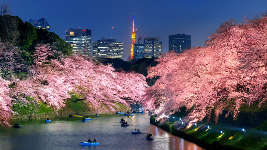 spring in japan 2026 - iStock 1197414984