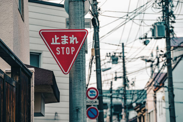 driving in japan - image 10