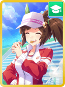 アイネスフウジンSR