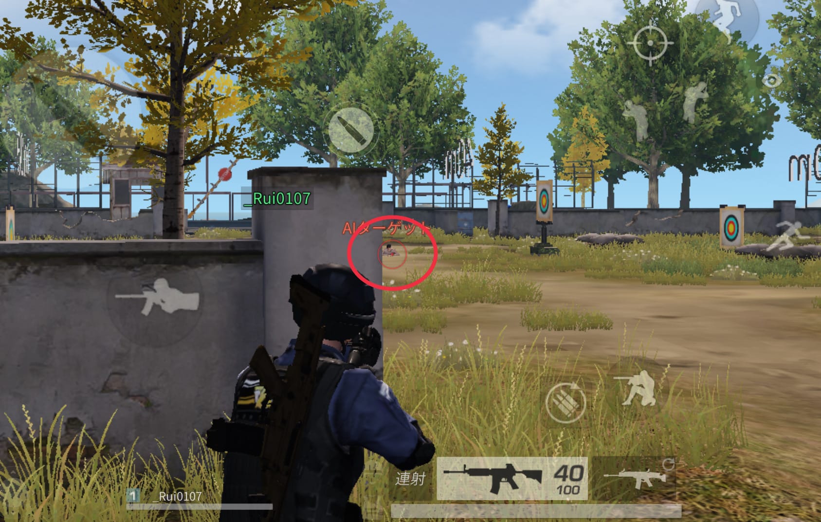 エイムがキャラクターの右に寄っている