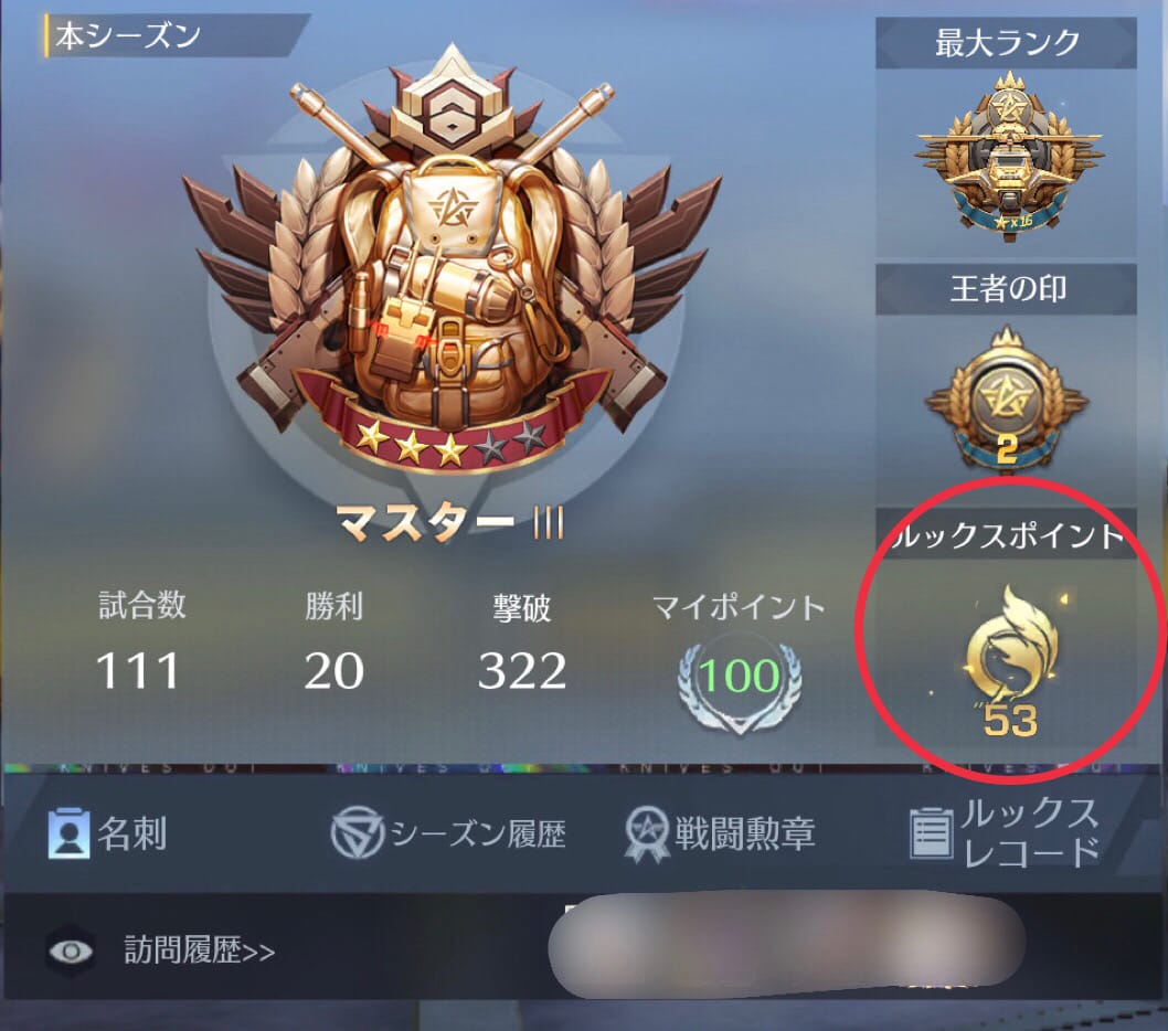 ルックスポイント位置