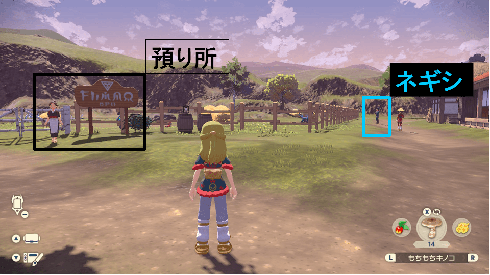 ネギシの居場所