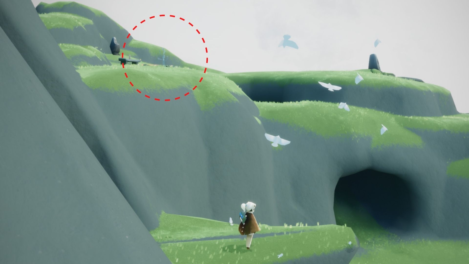 岩の上に若木が設置されています。