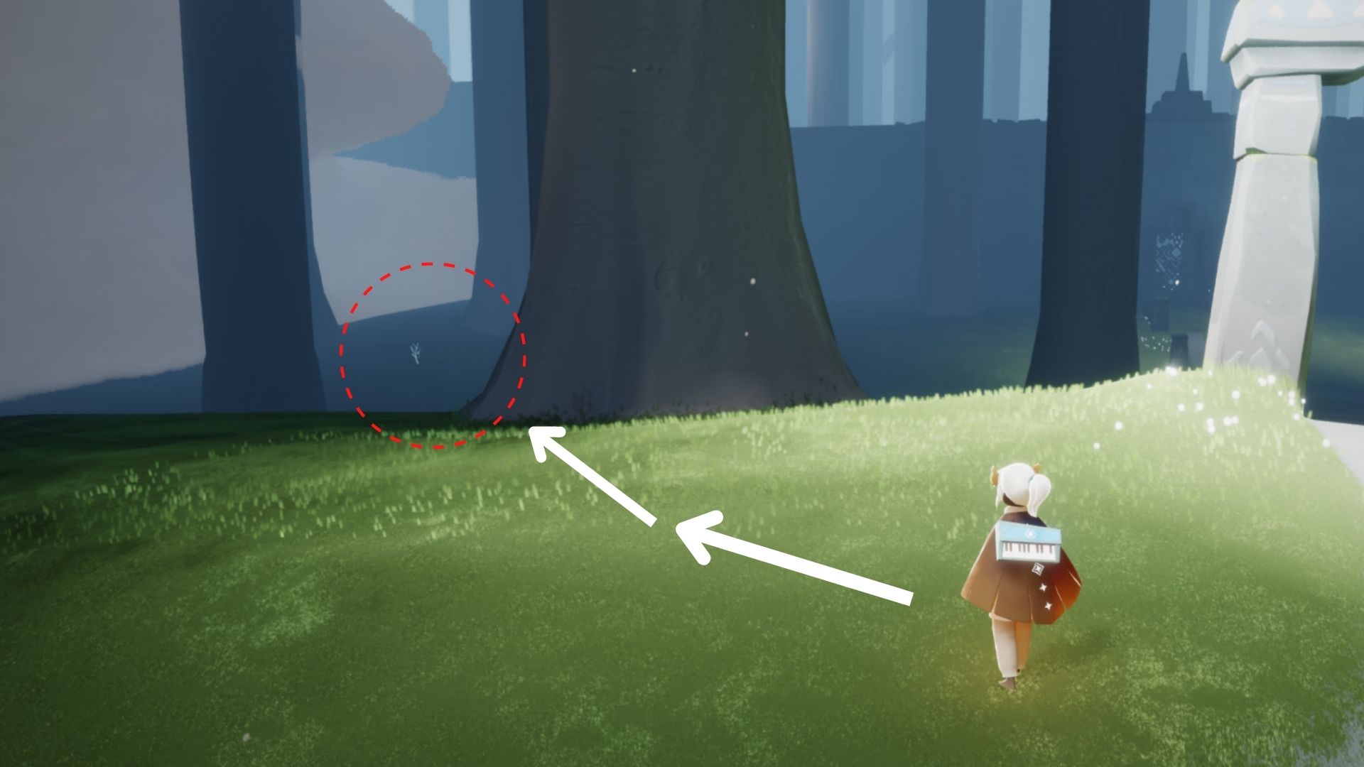 石のゲートに近づくと、左側の木の間に若木の存在が確認できます。2