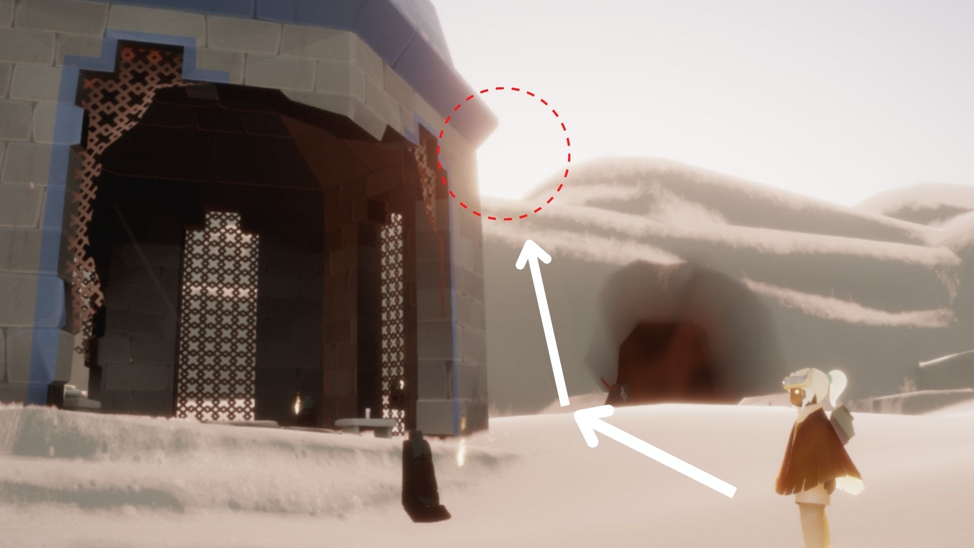 洞窟の上に登ると、若木があります。