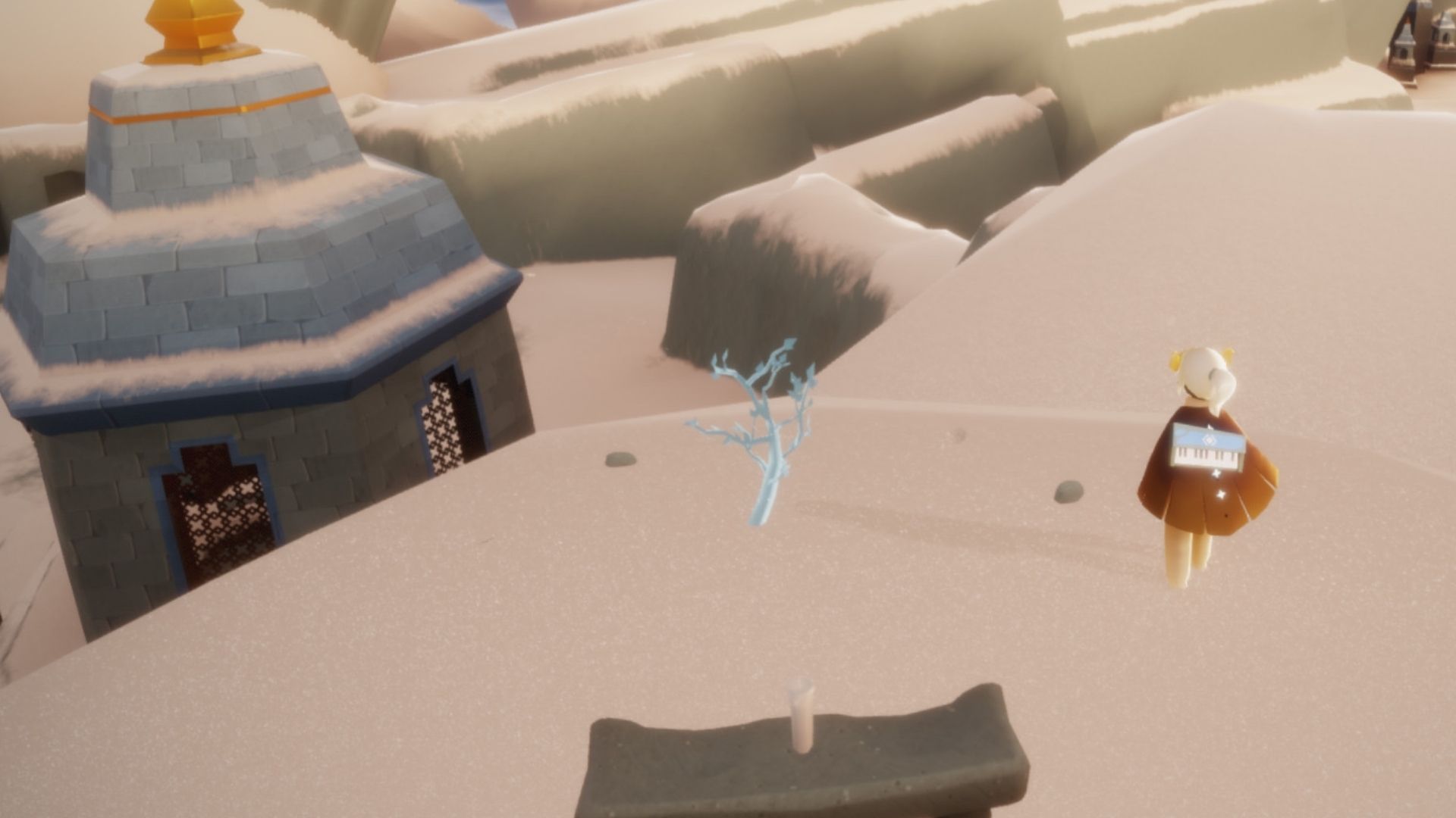 洞窟の上に登ると、若木があります。2