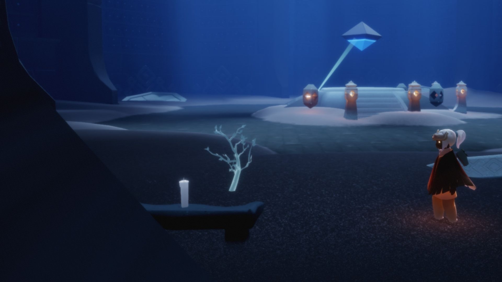 左側の壁際に、若木が設置されています。2