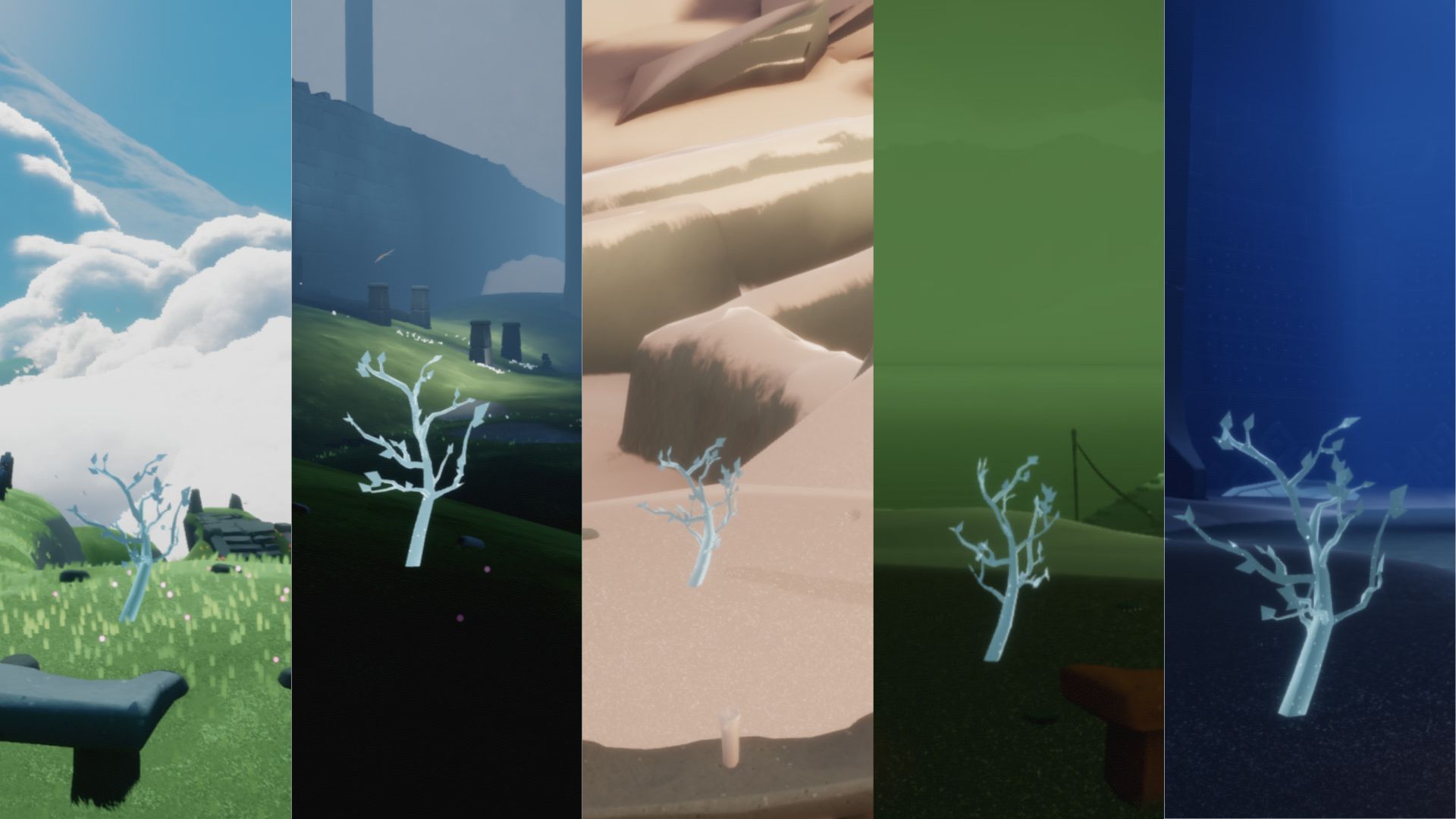 各エリアの若木