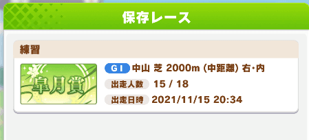 保存レース