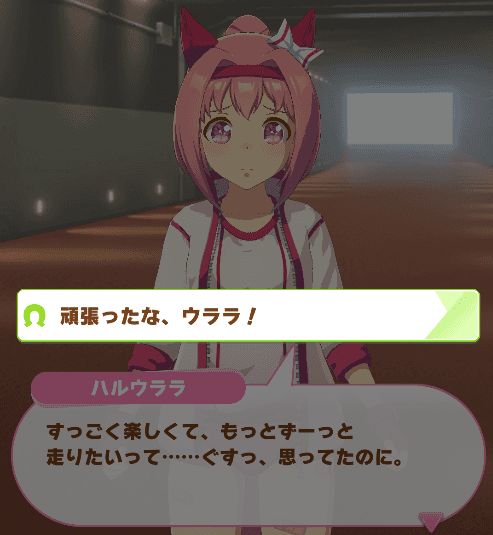 ハルウララの有馬記念