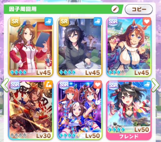 因子周回用サポートカード