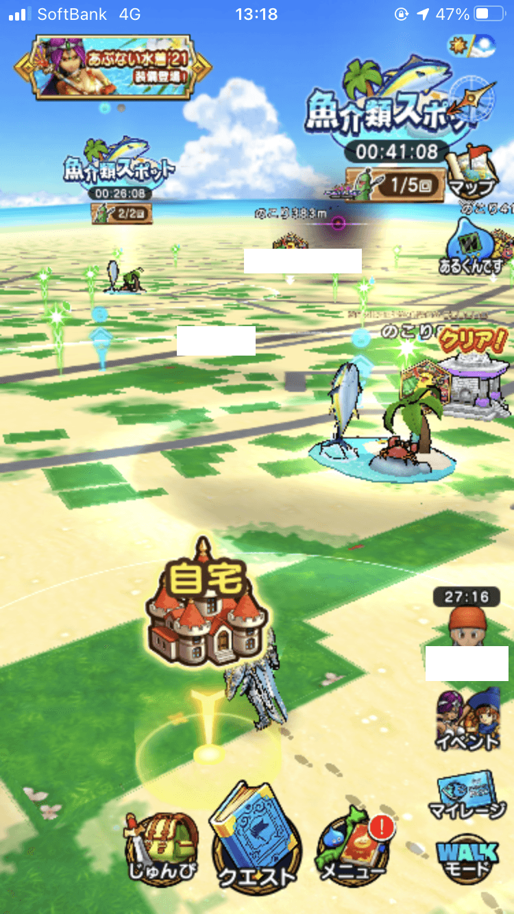 ズッキーニャ大量発生中