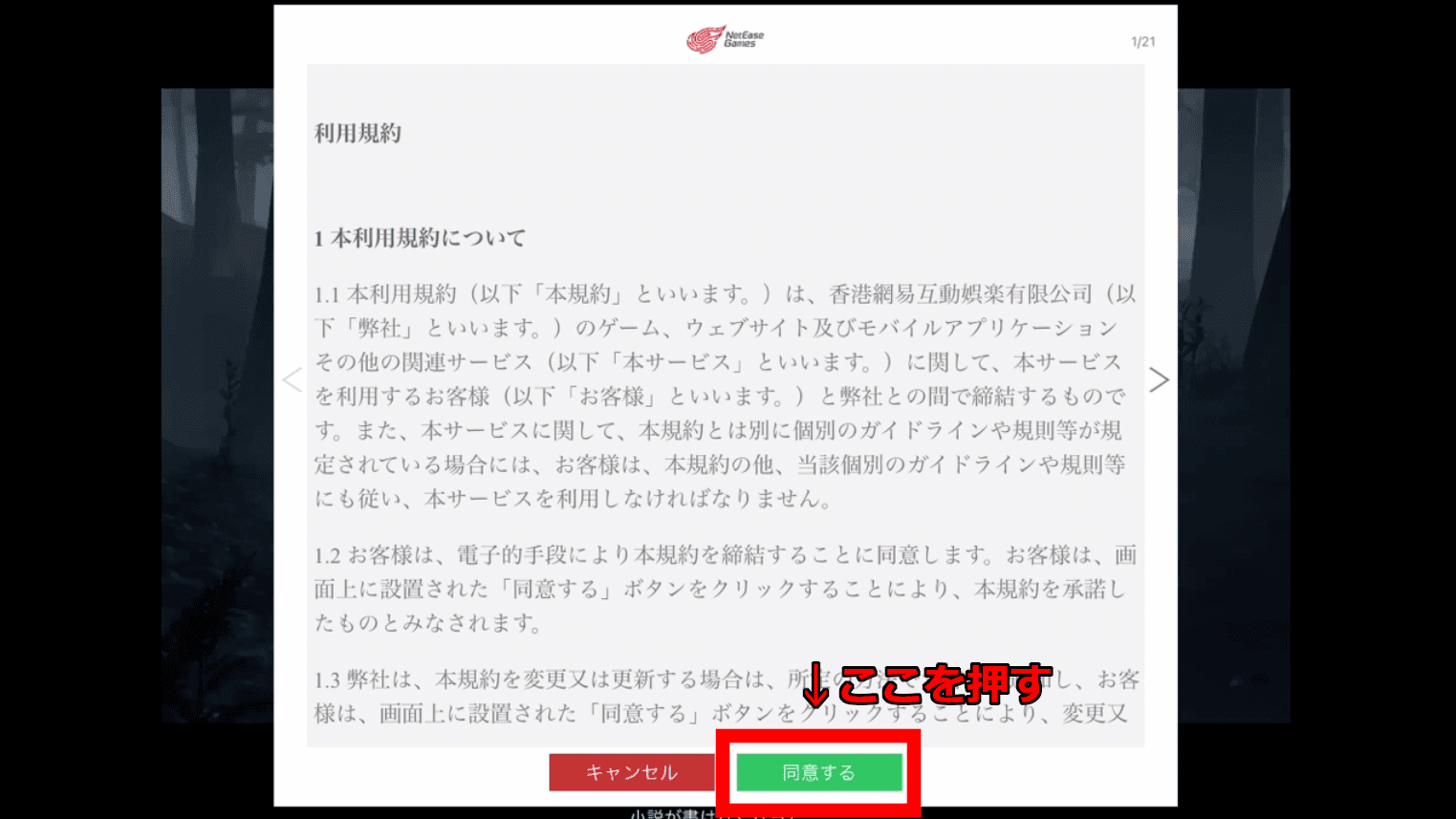 利用規約