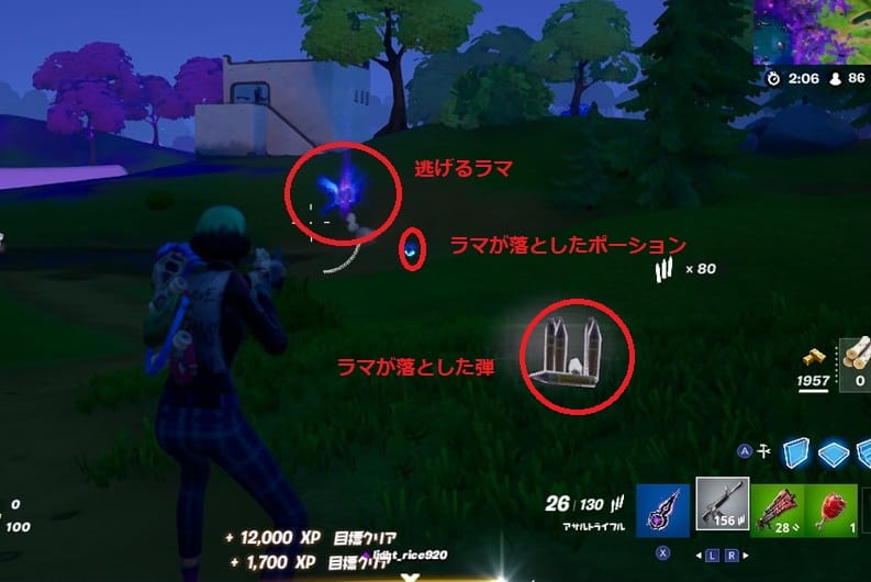 逃走するラマ