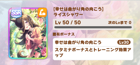 固有ボーナス