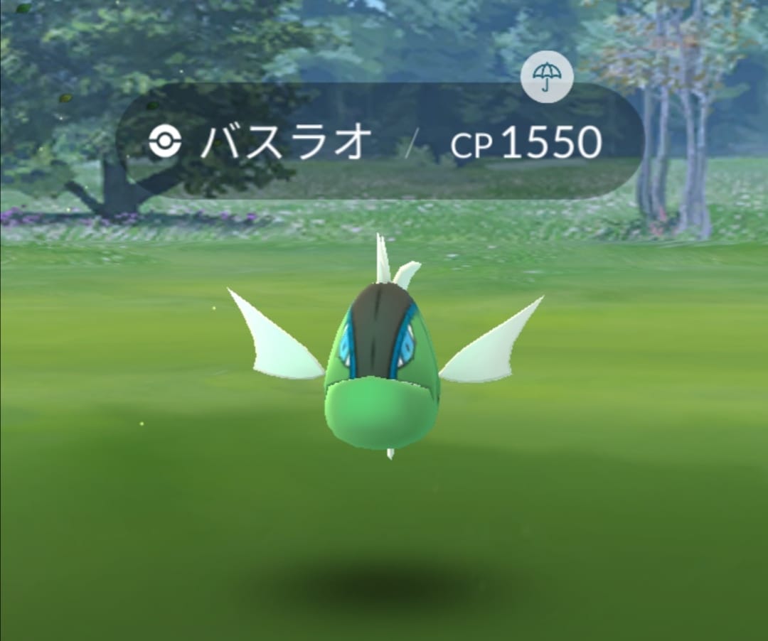 バスラオ