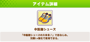 中距離シューズ